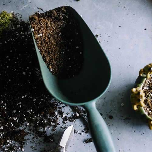 Comercialización de material vegetal insumos y materas