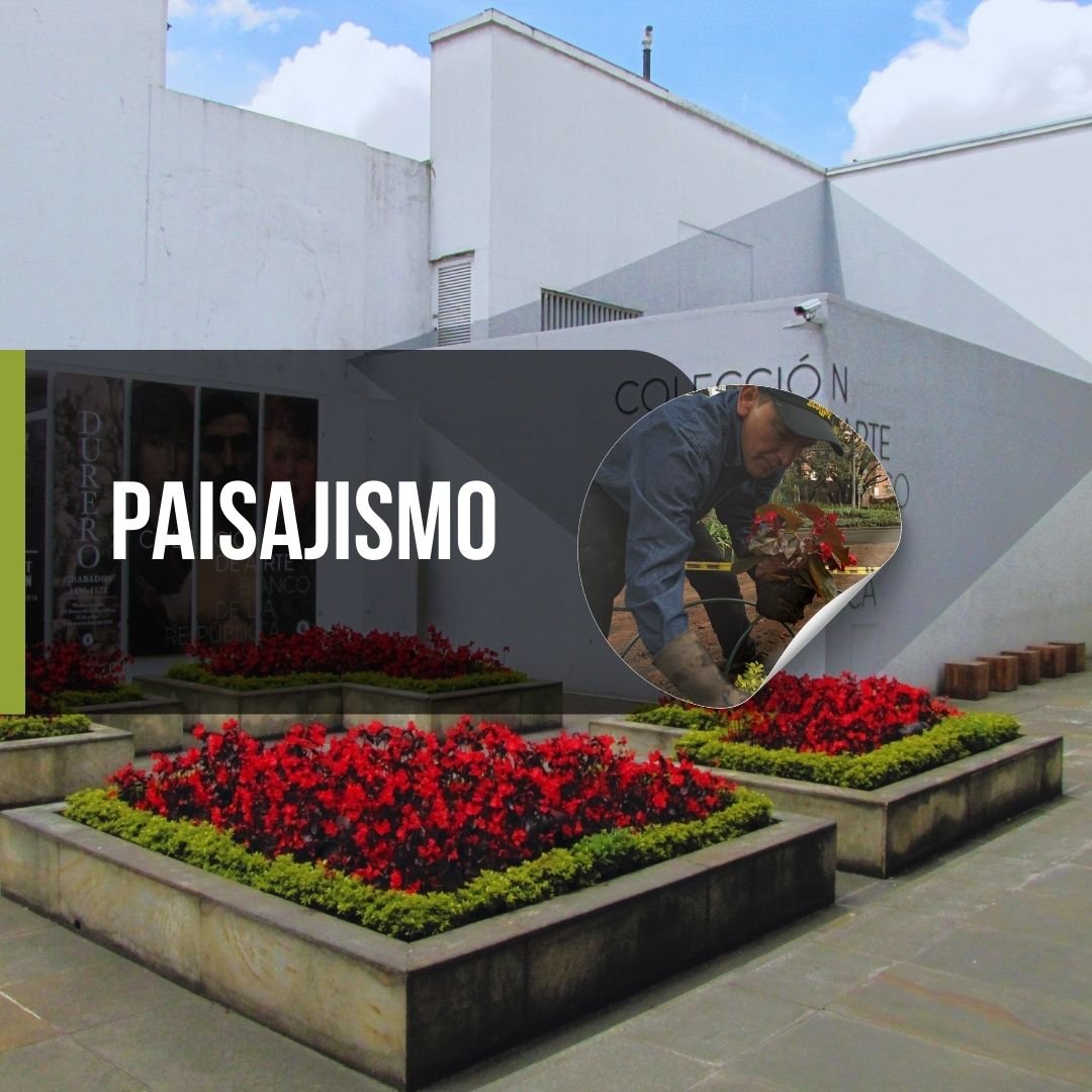 Paisajismo