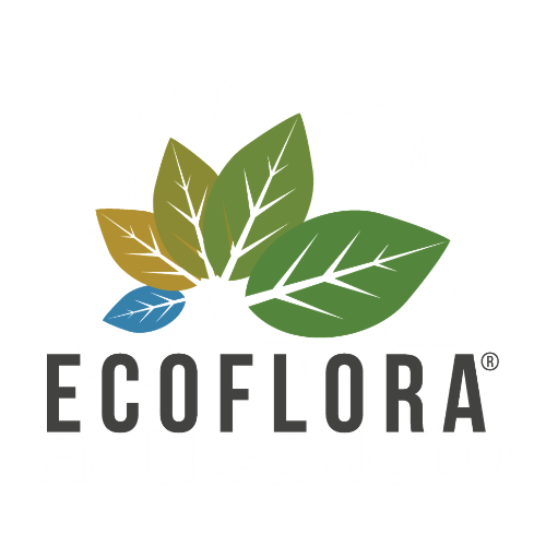 Ecoflora