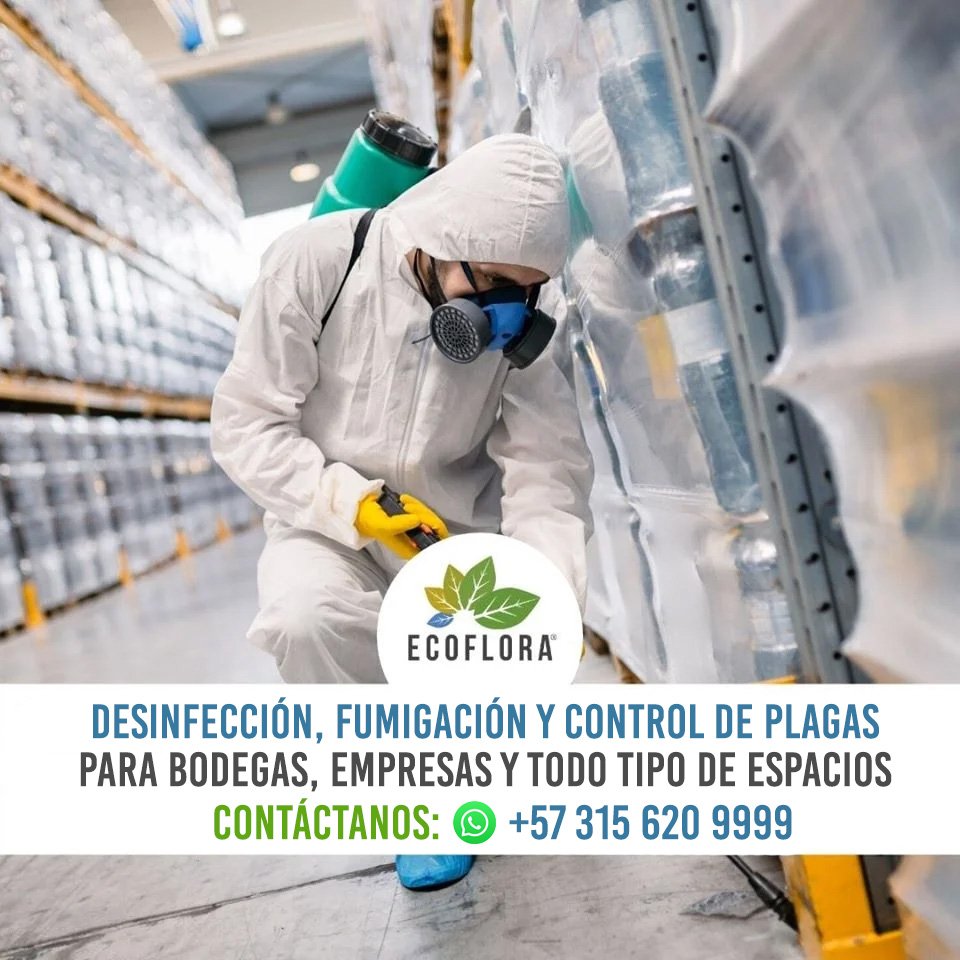 Imagen destacada Ecoflora control de plagas